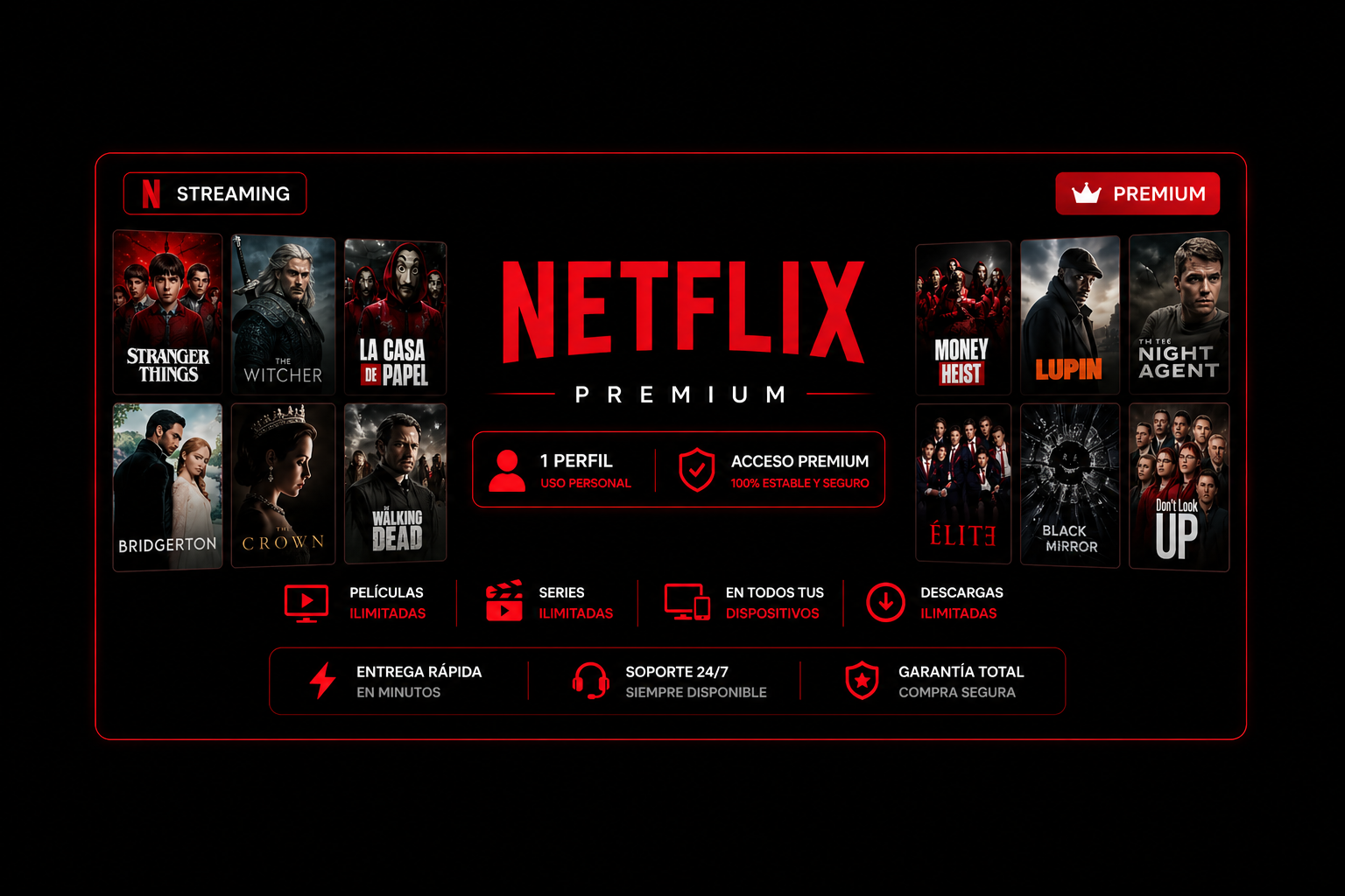 Netflix Premium — 1 perfil